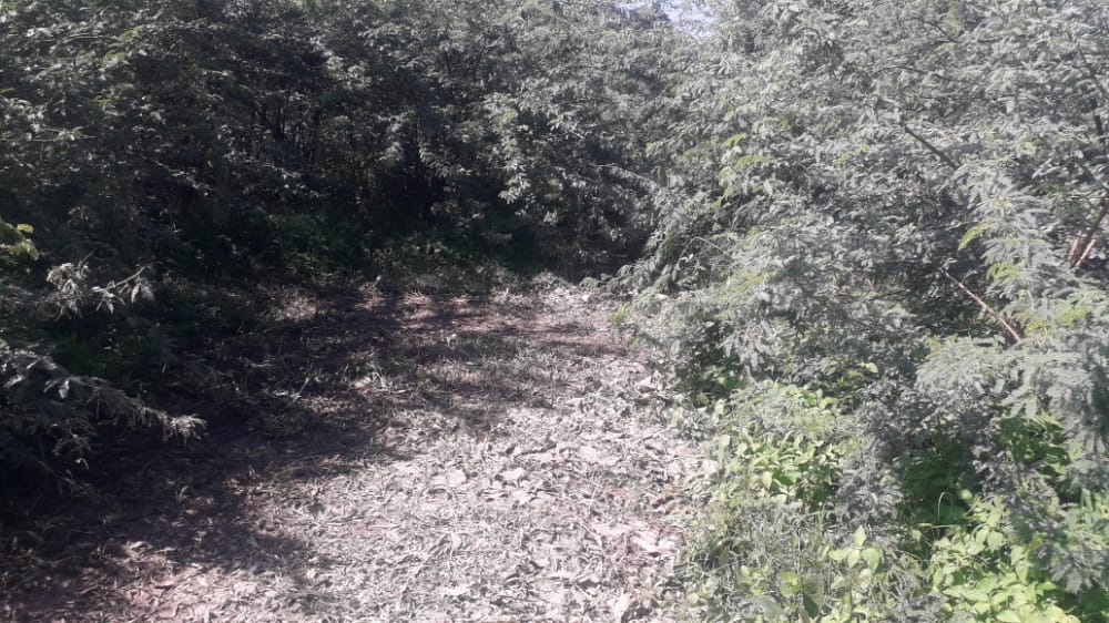 The dead body of the girl was found in the forest in Unnao, there is a possibility of rape and murder