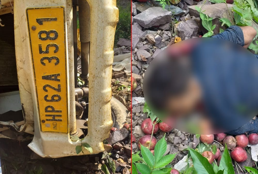 Vikasnagar Accident News: Vehicle carrying apples from Himachal fell into ditch, driver died