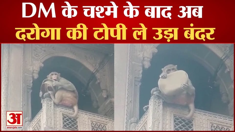 monkey took cap of Sub inspector after Spectacles of Mathura DM in Banke Bihari temple of Vrindavan