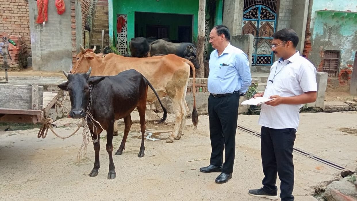Lumpy disease Decreasing milk, no treatment in hospitals