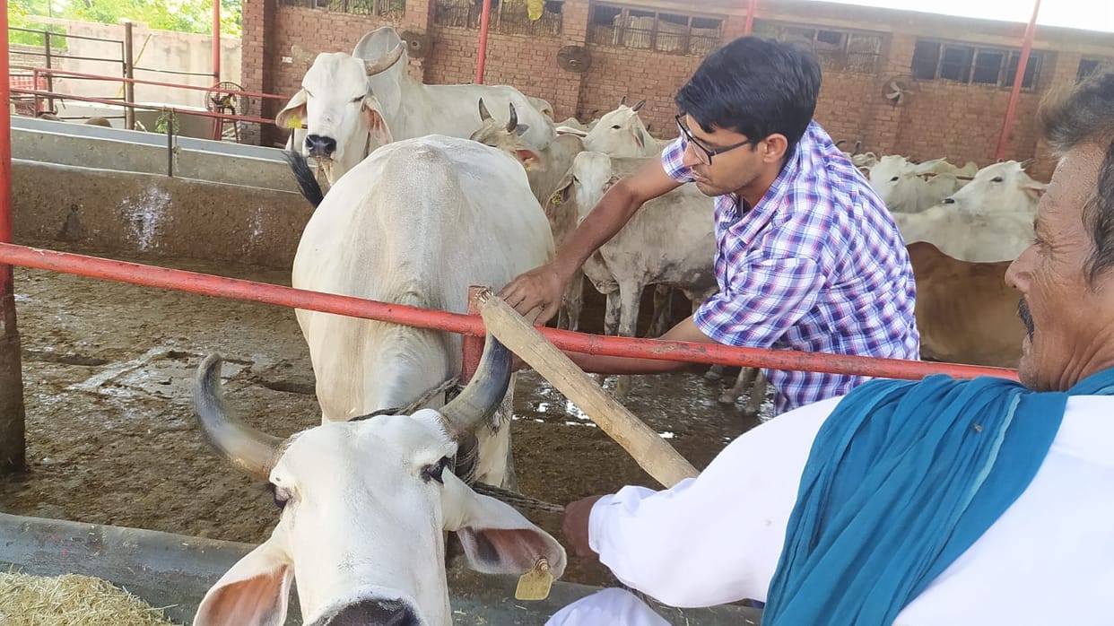 fatehabad news