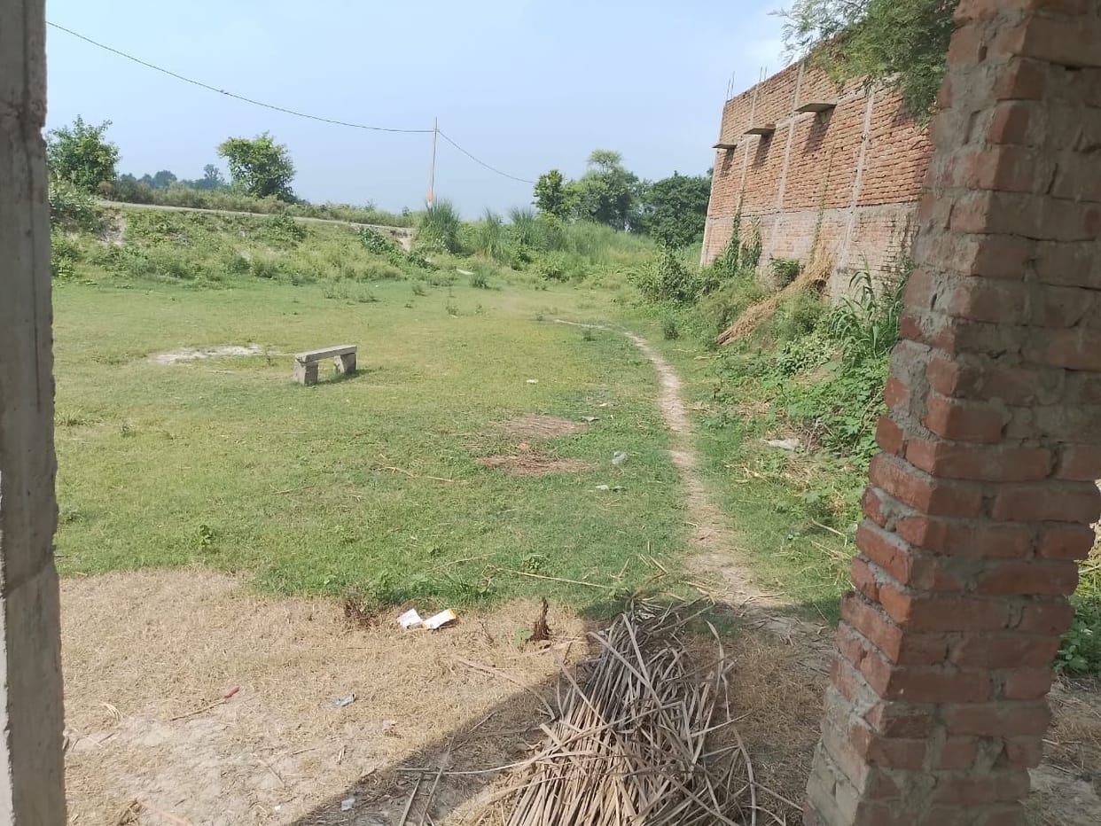Plants dying due to lack of care and water