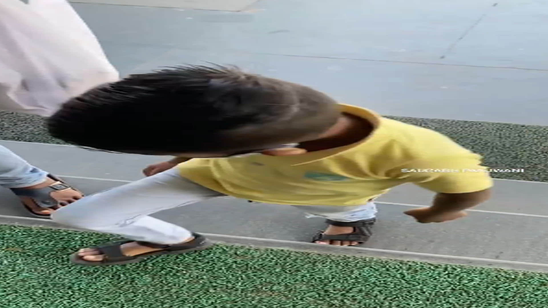 Viral Video zomato delivery woman takes his kids along while delivering food Google Trends