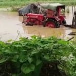 खेतों में जलजमाव