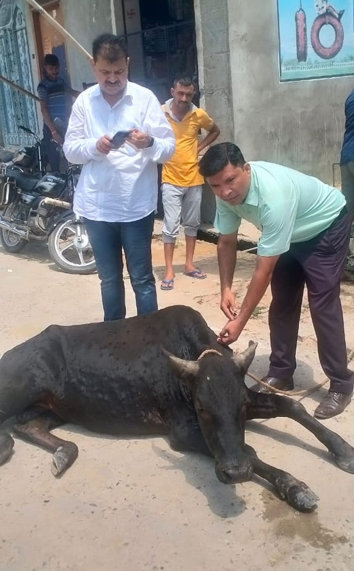 First suspect of lumpy virus found in Badaun, department asked for 50 thousand vaccine