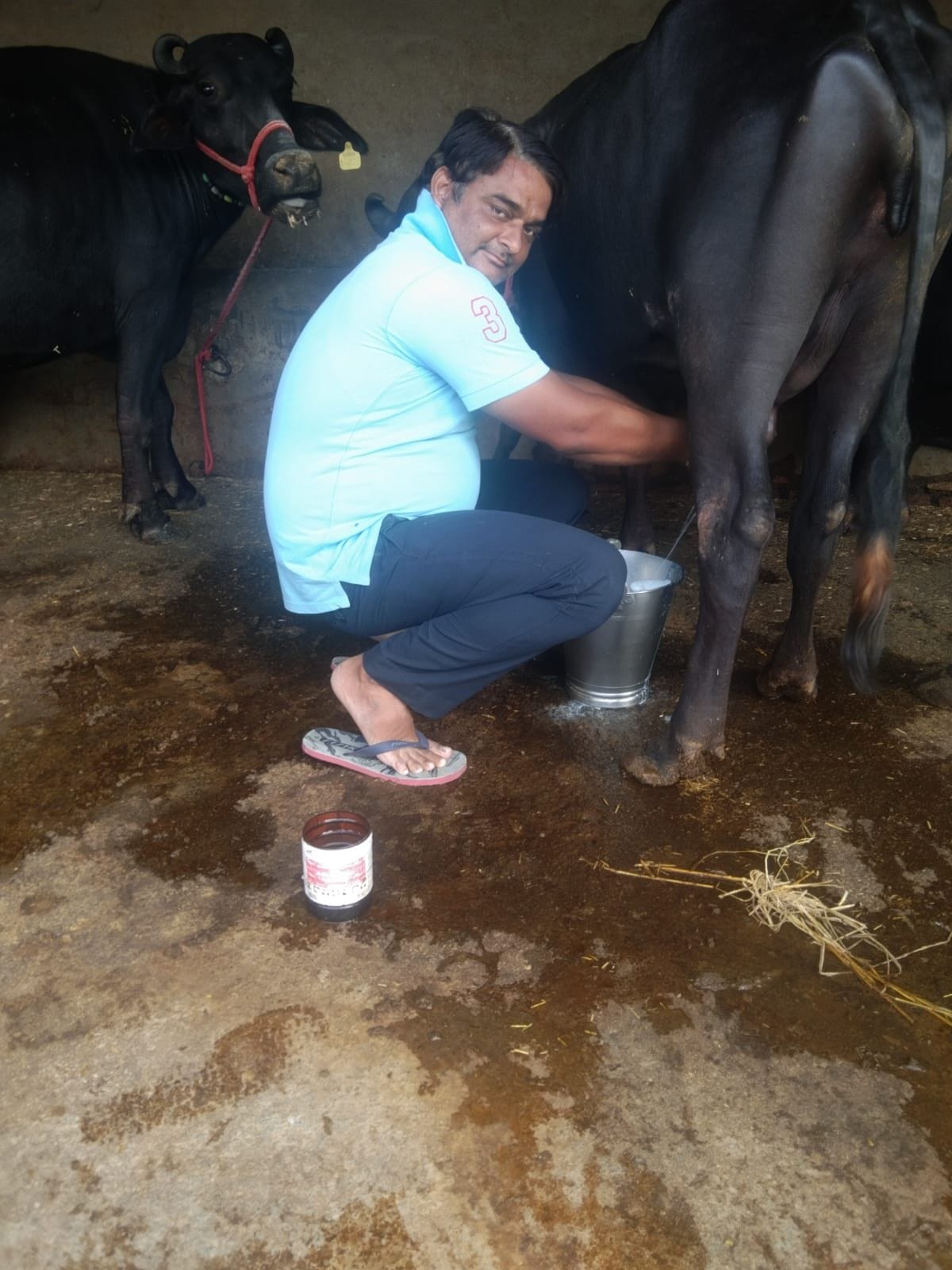 Lumpy's illusion: demand for open milk decreased in dairy, demand for packing increased