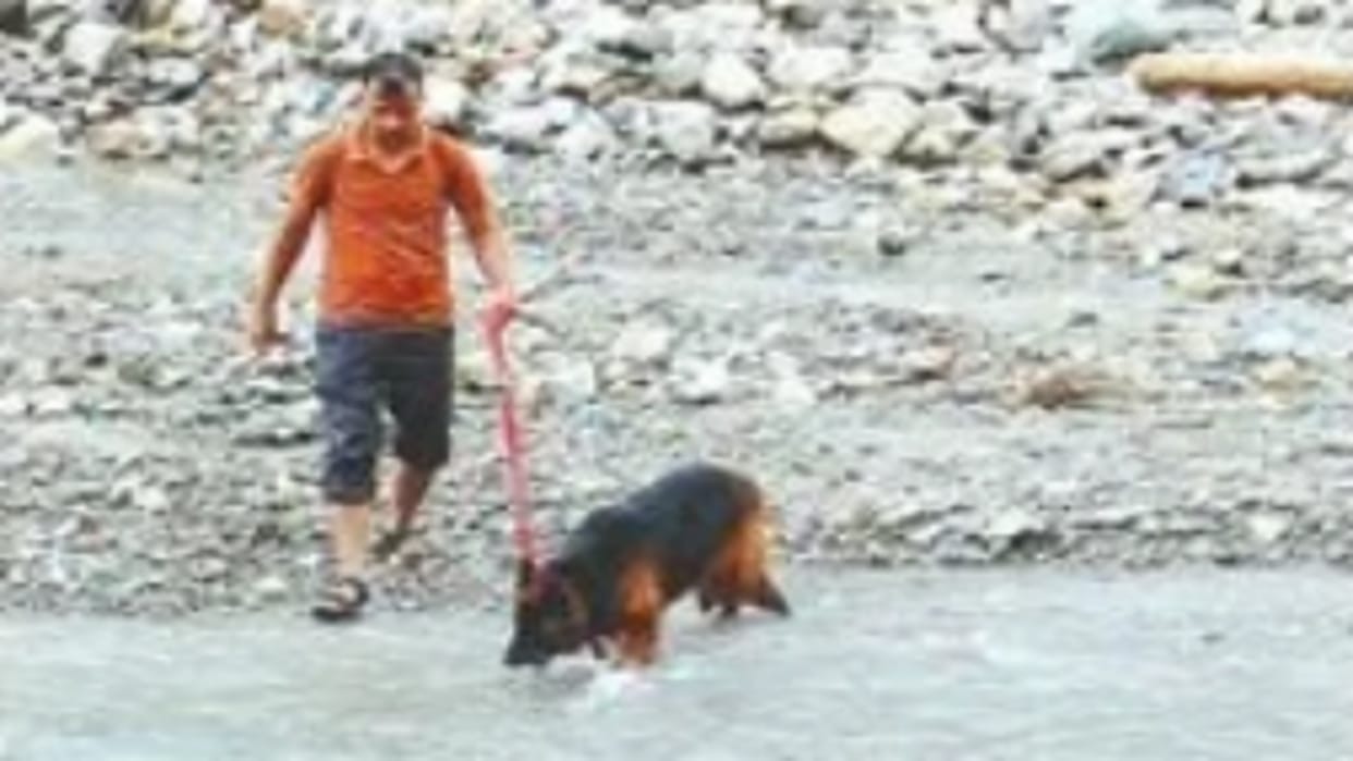 Dog squad discovered hand paw under Sauda Saroli bridge in dehradun