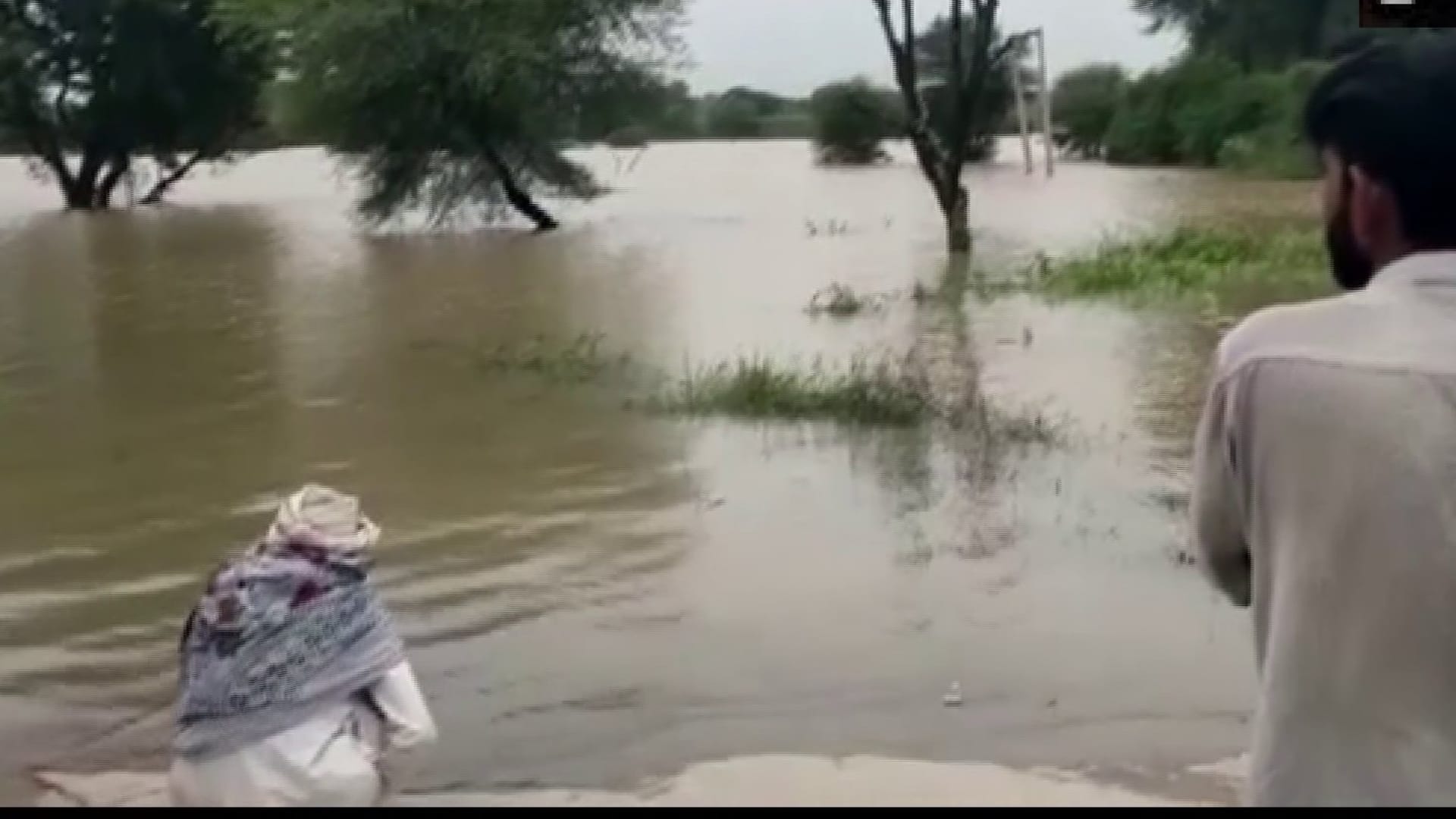 flood in Rajasthan Heavy rain NDRF SDRF doing rescue