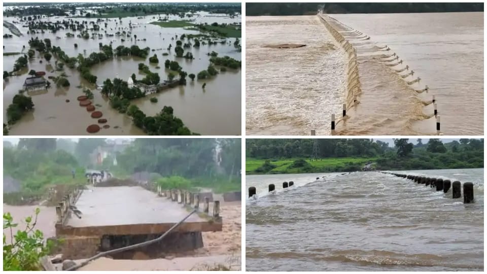 Flood In Many Districts Of Rajasthan See Devastation Of Rain In pictures