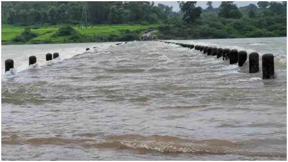 Flood In Many Districts Of Rajasthan See Devastation Of Rain In pictures