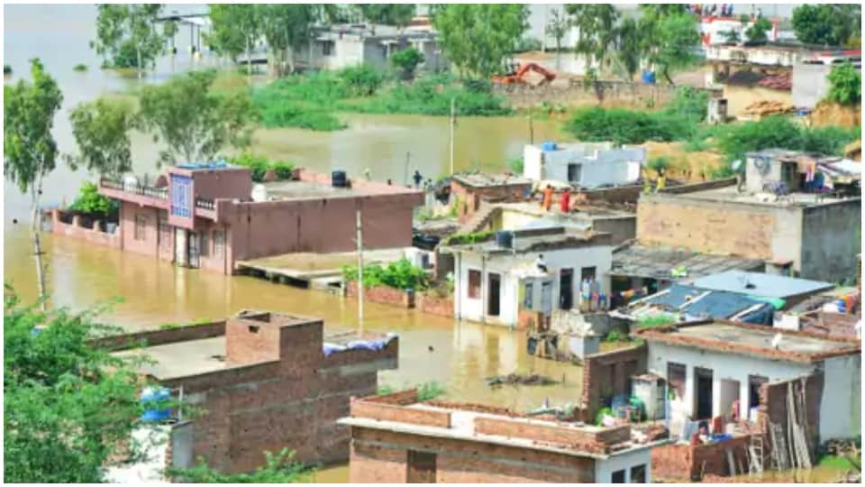 Flood In Many Districts Of Rajasthan See Devastation Of Rain In pictures