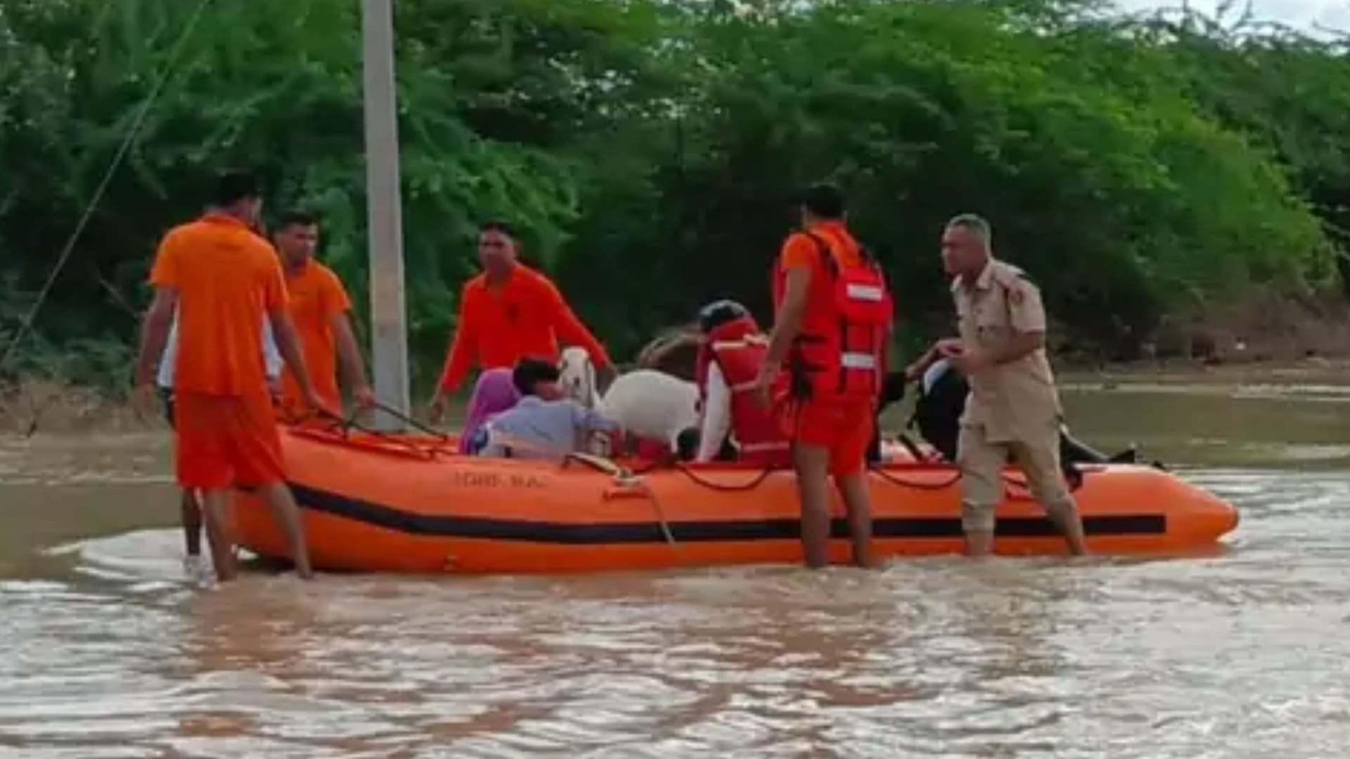 flood in Rajasthan Heavy rain NDRF SDRF doing rescue