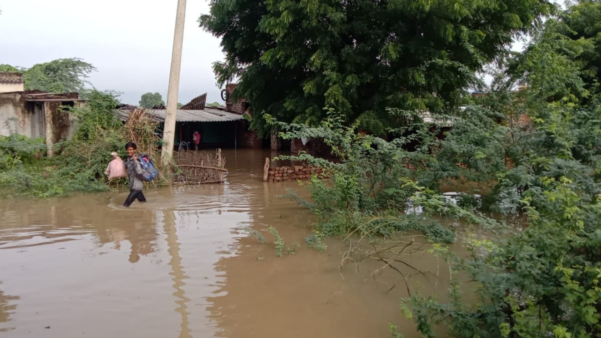 Water entered 40 villages in Dholpur SDRF and army doing rescue