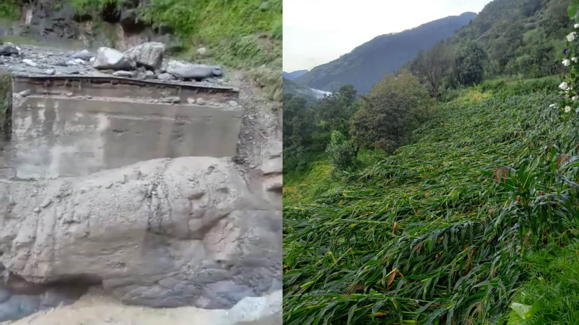 Himachal Weather, heavy Rain continues to wreak havoc in Himachal, bridge shed in Churah, 147 roads stalled in