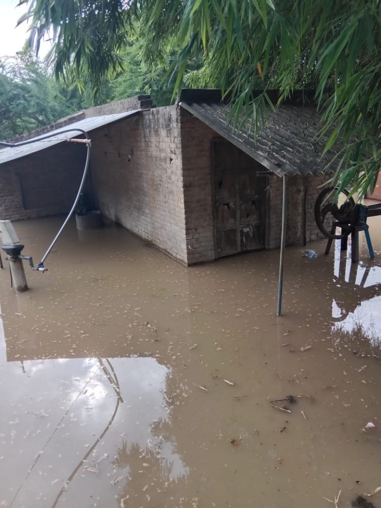 Yamuna crossed the danger mark in Auraiya, flood water reached 19 villages