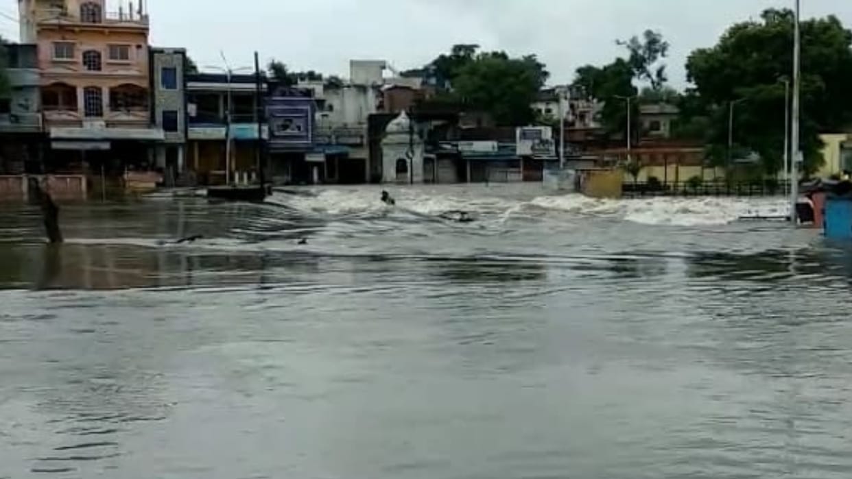 team of Water Resources Department stopped the leakage of Bamori pond of Shajapur district