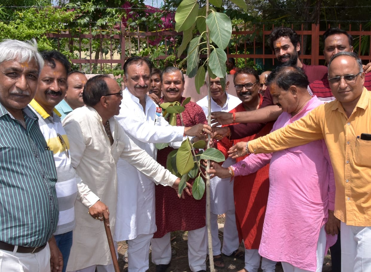 Offer fifty-six bhog to Lord Krishna