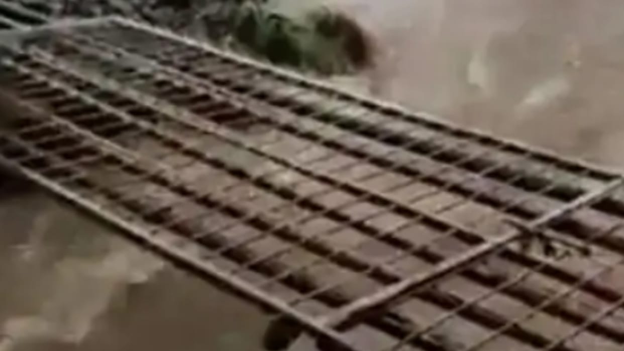 delivery victim woman was admitted to the hospital by making a temporary bridge in Berasia block of Bhopal