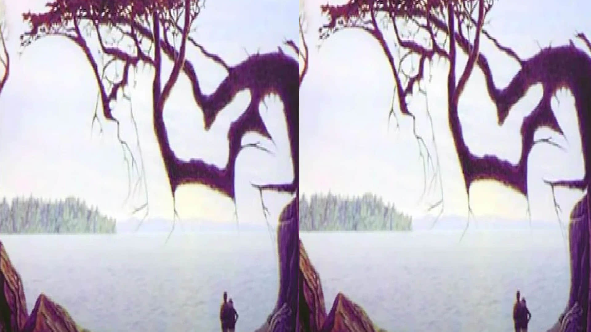 optical illusion in hindi can you see hidden baby picture in this photo viral pictures