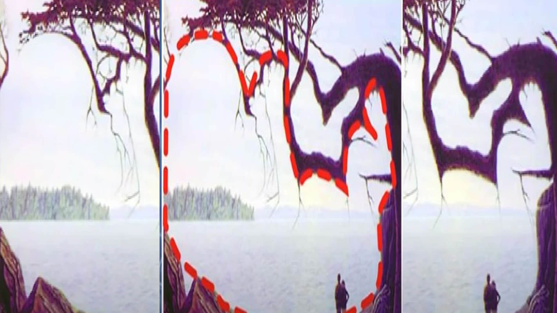 optical illusion in hindi can you see hidden baby picture in this photo viral pictures