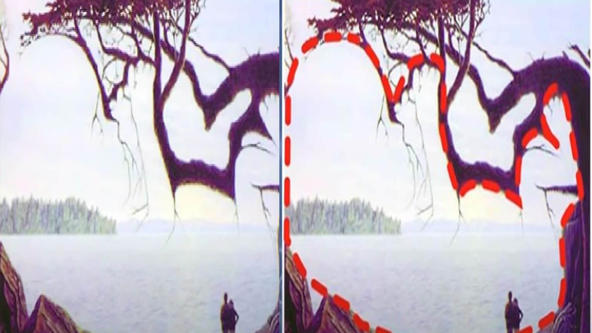 optical illusion in hindi can you see hidden baby picture in this photo viral pictures