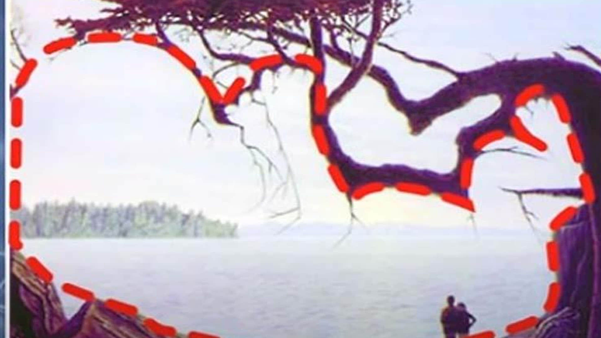 optical illusion in hindi can you see hidden baby picture in this photo viral pictures