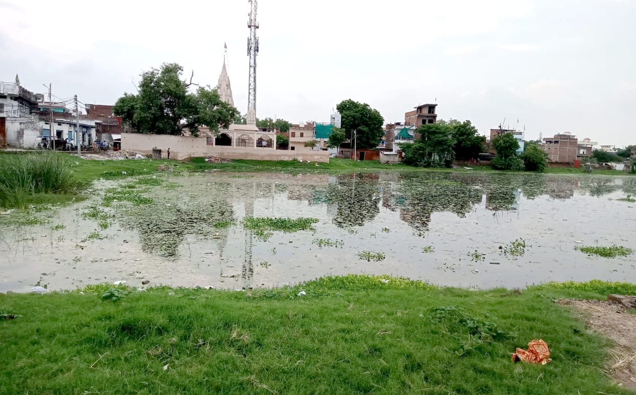 Forgot the protection of the city's historic ponds