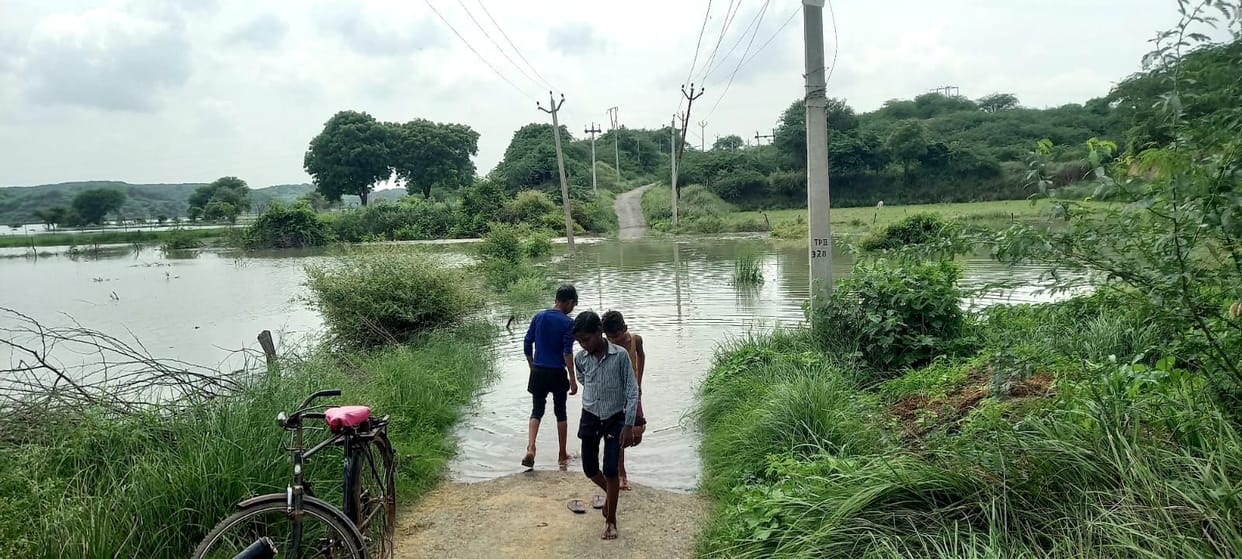 Yamuna,chambal,etawah,etawah news,up news