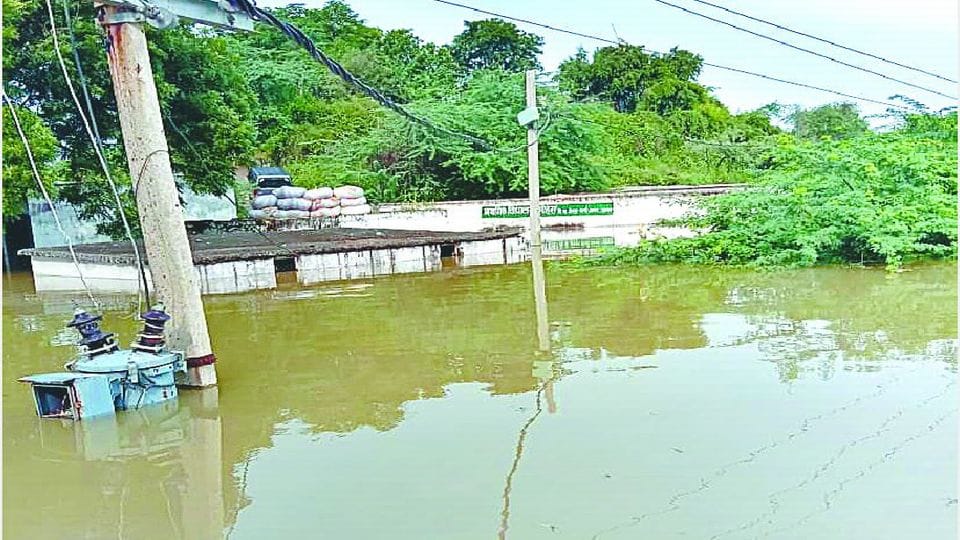 Chambal floods broke the record of 26 years water level seven meters above danger mark in Pinahat Agra