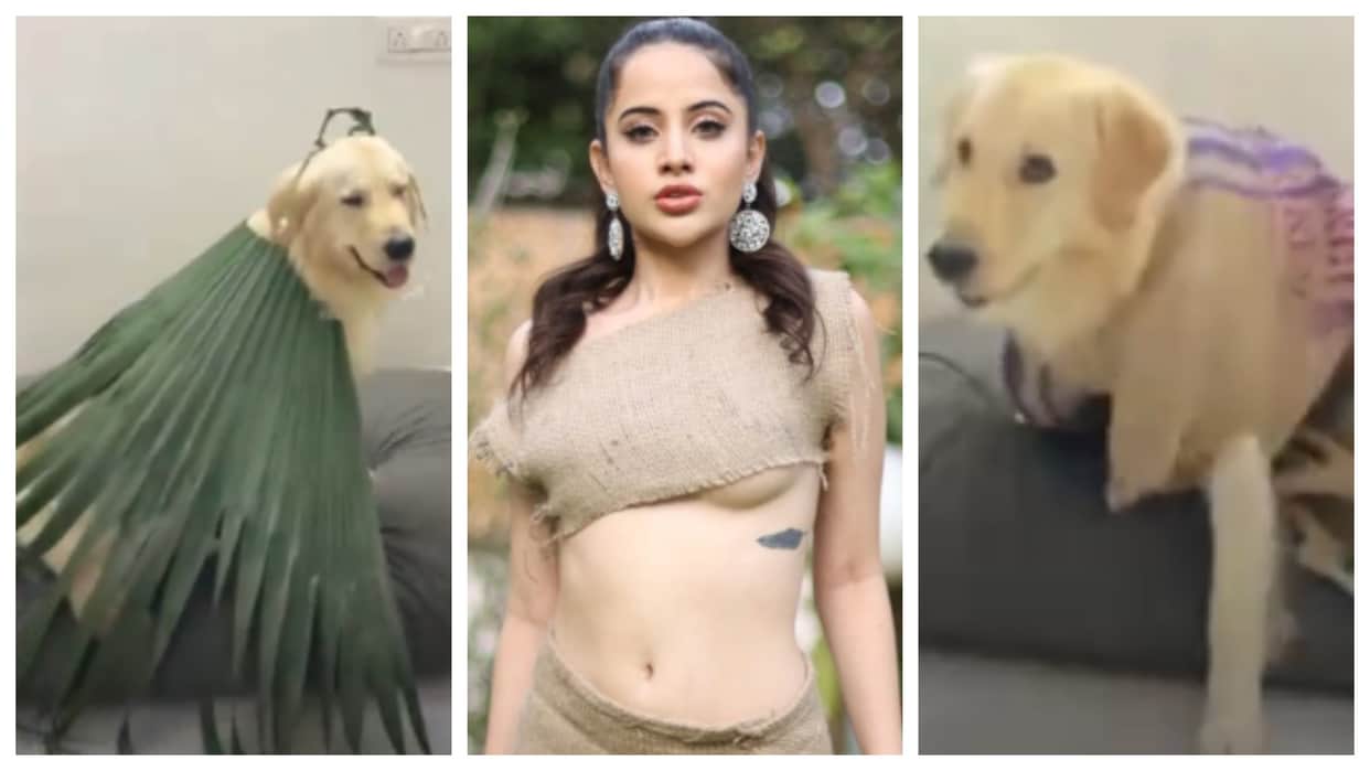 Urfi Javed shares video of a dog in stylish dress made by green leafs