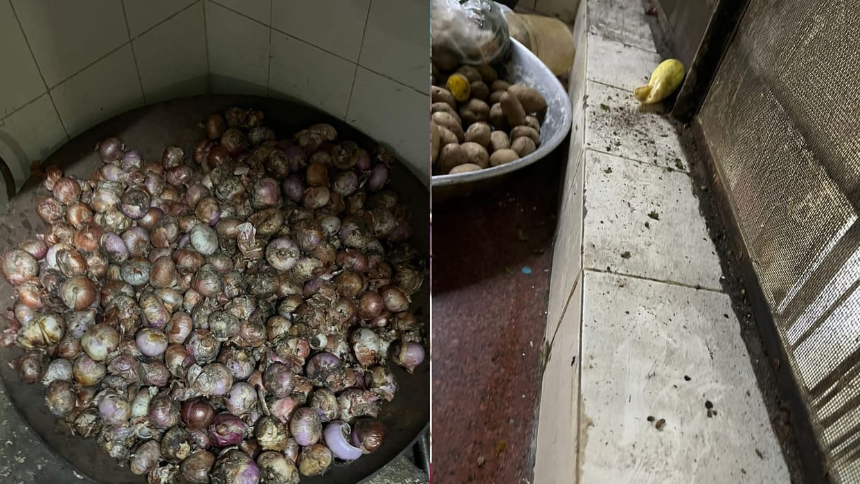 this type of food being given to AIIMS doctors