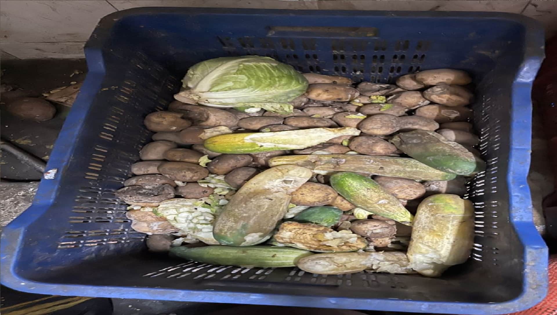 this type of food being given to AIIMS doctors