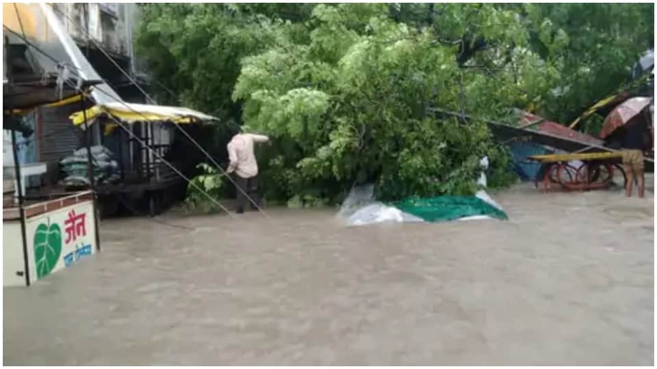 Flood In Rajasthan Rain devastation In Dholpur Kota and Jhalawar