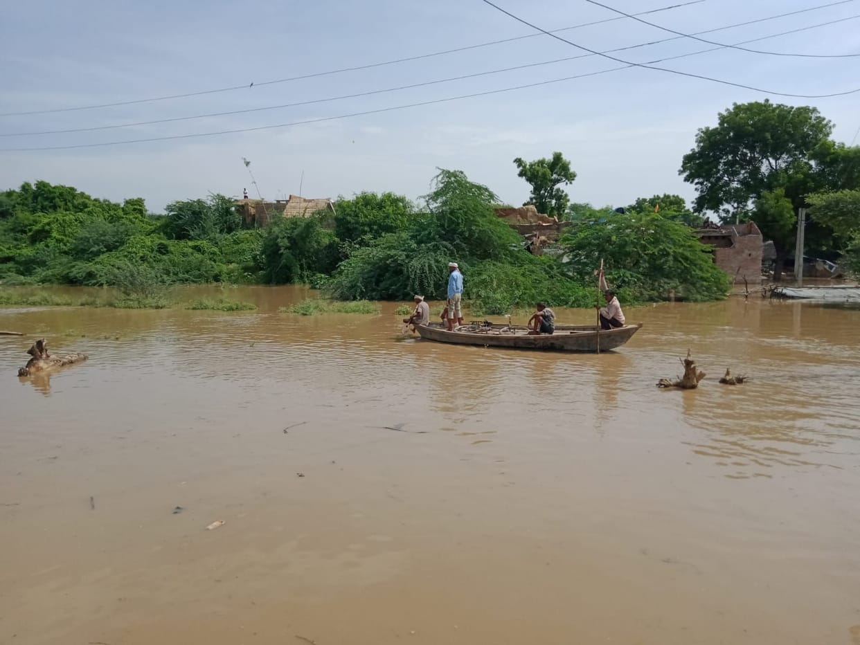 Yamuna,chambal,etawah,etawah news,up news
