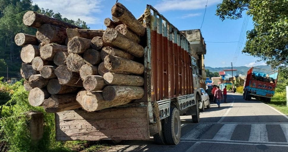 Illegal Timbar and Two Truck Seized