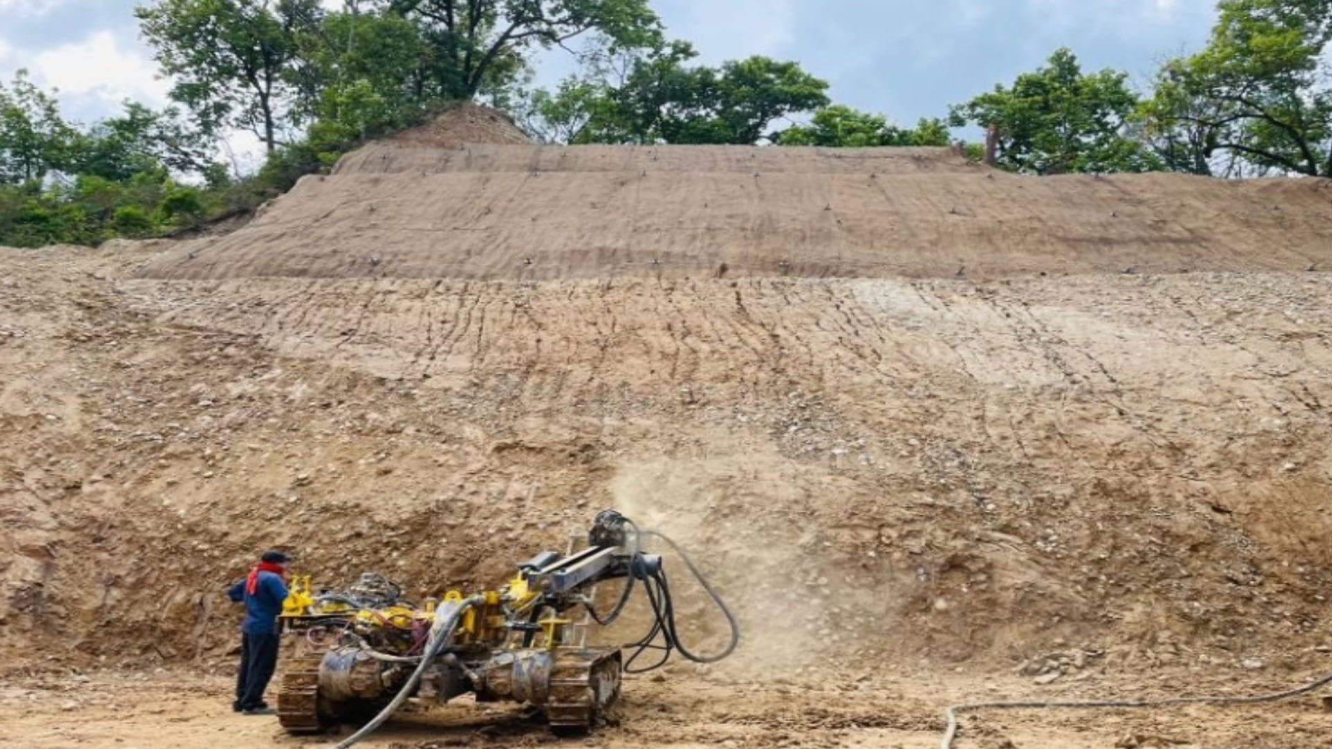 Environment news : More than thirty seven thousand trees to be cut Green field corridor, report prepared