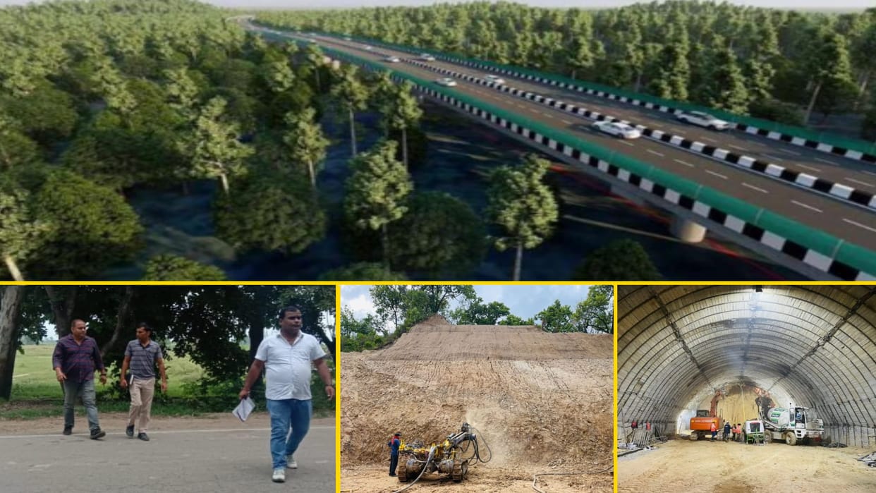 Environment news : More than thirty seven thousand trees to be cut Green field corridor, report prepared