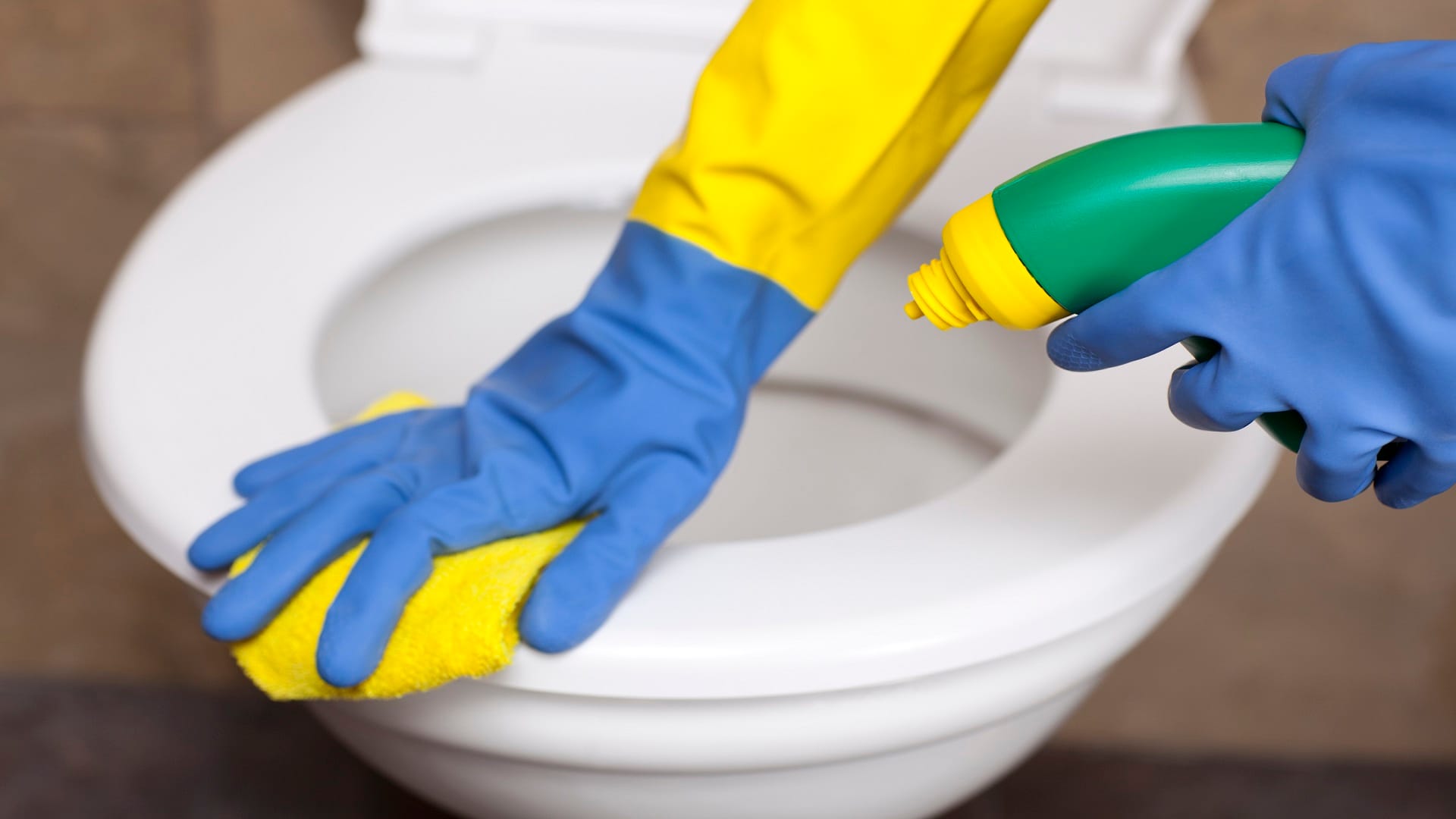 How to get rid of bad smell from bathroom or toilet know these tips in hindi