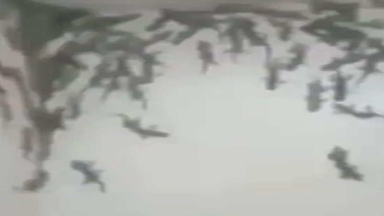 Chipkali Ka Video Lizards Gang Gathered in Toilet See Scary Video Viral on Social Media