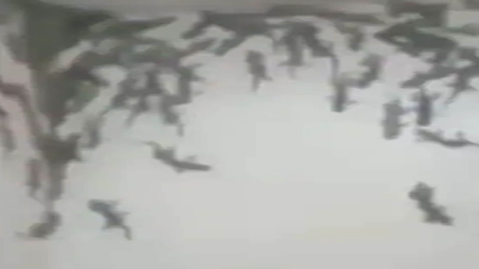 Chipkali Ka Video Lizards Gang Gathered in Toilet See Scary Video Viral on Social Media