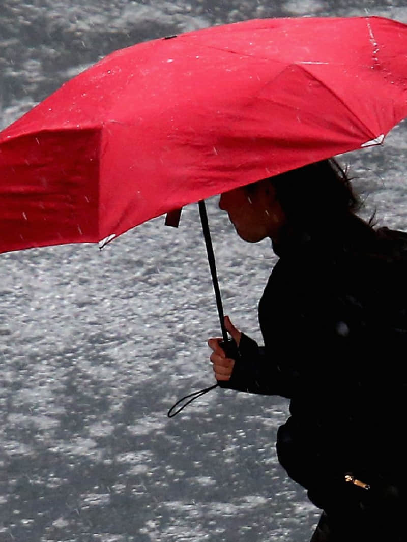 MP Madhya Pradesh Weather Update Today: Rain will return in a day or two