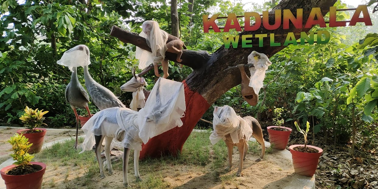 kadunala wetland will be open for tourists from today.
