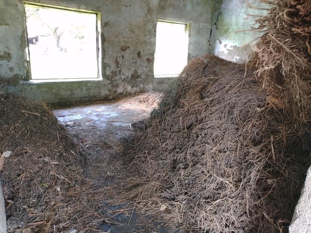 School building was not built in 4 years