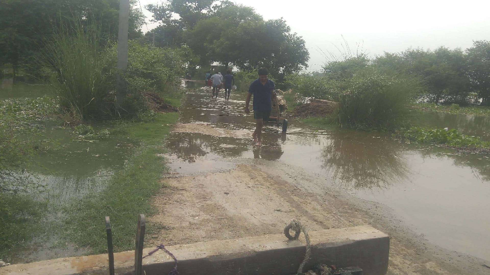 Flood Updates water of the overflowing Ganga-Yamuna entered the villages