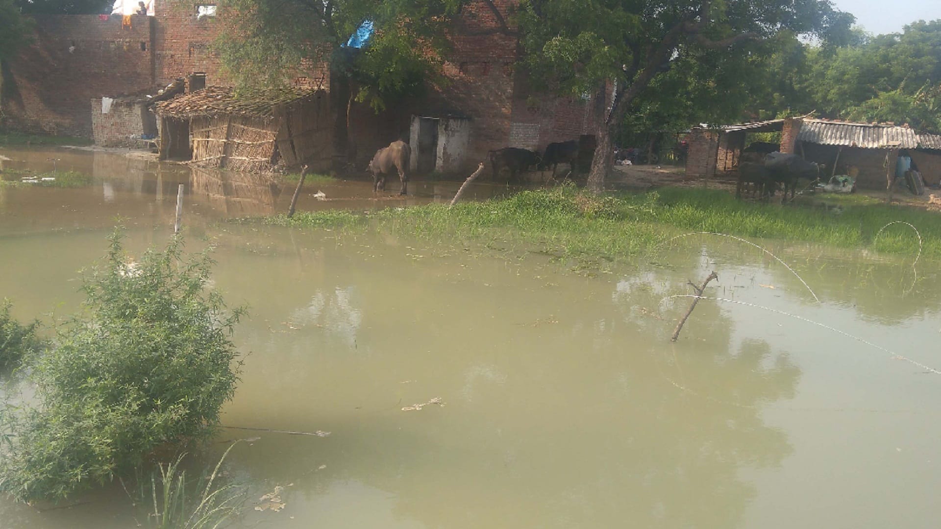 Flood Updates water of the overflowing Ganga-Yamuna entered the villages