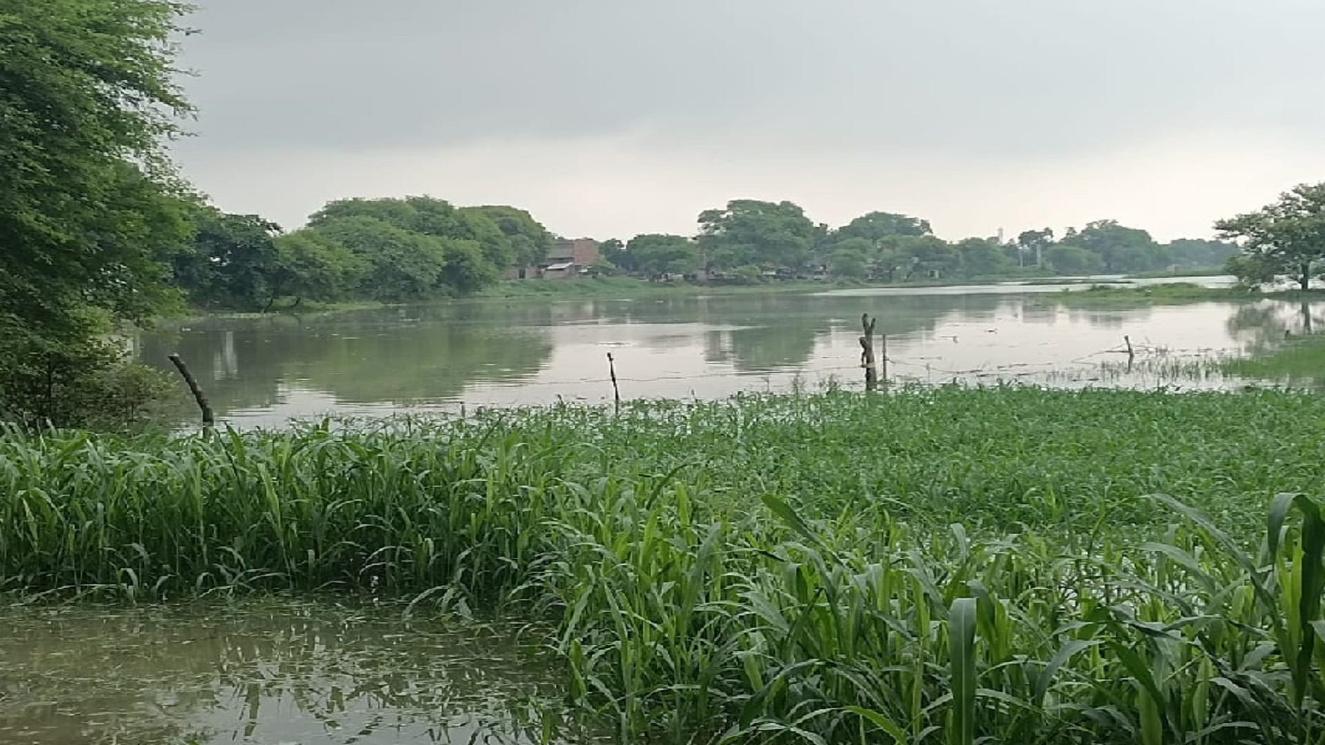 Flood Updates water of the overflowing Ganga-Yamuna entered the villages