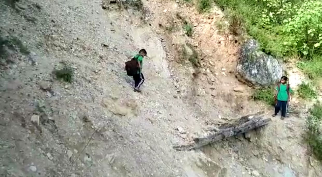 Children go to school through dense bushes and bumpy roads