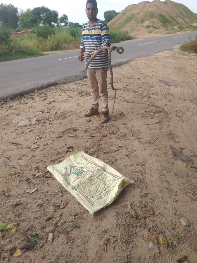 Do not panic if snakes and gohs are found in the house, rescue team will reach in 15 minutes on 9416546739 call