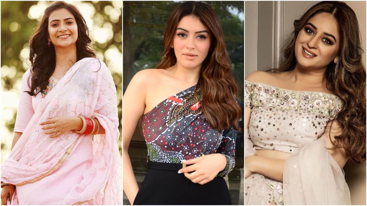 TV Actress who worked in South Film Industry From Hansika Motwani to Aditi Sharma Mahhi Vij Avika Gor