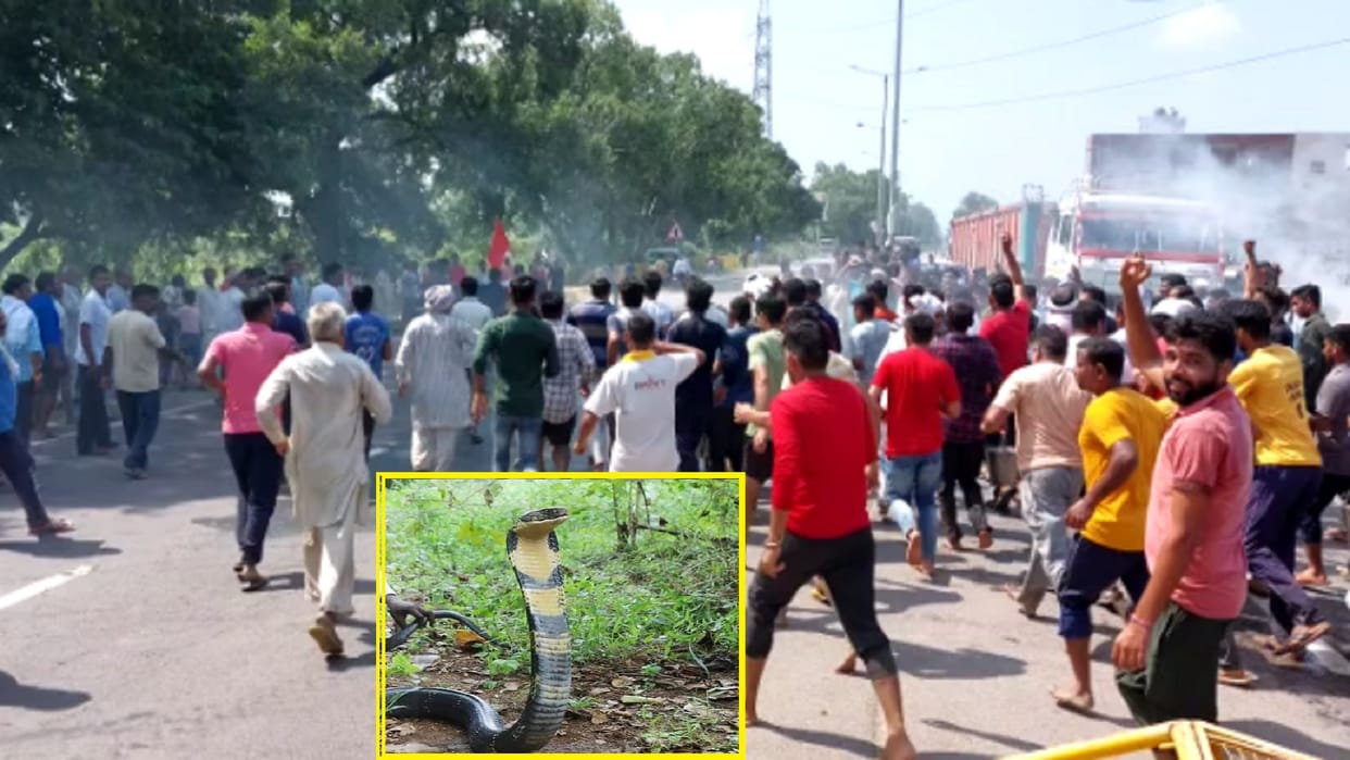 Villagers took out a parikrama after many people were bitten by snake in village of Baghpat